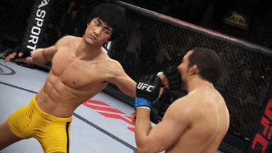 EA Sports UFC Image