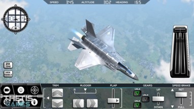 FlyWings 2017 Flight Simulator Image