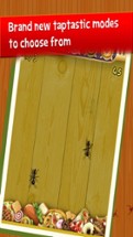 Kids Game: Tap Tap Ants Image