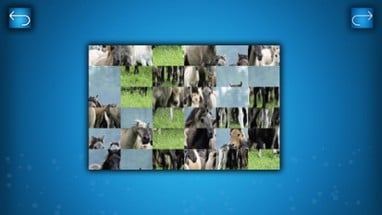 PUZZLE: ANIMALS Image