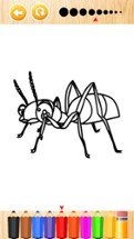 Ant and slither bug coloring book for kids games Image