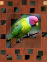 Birds Jigsaw Puzzles - Amazing Logical Game Image