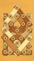 Screw Puzzle: Wood Nut & Bolt Image