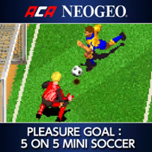 Pleasure Goal - Futsal - 5 on 5 Mini Soccer Image