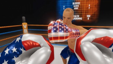 Virtual Boxing League Image