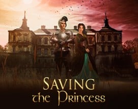 Saving the Princess 2 Image