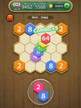 Hexa Number Puzzle Image