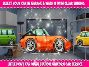 Animal Car Wash Station Image