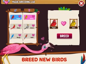 Bird Land: Animal Fun Games 3D Image