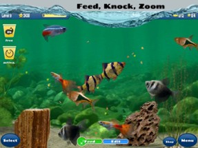 Fish Farm 2 Image