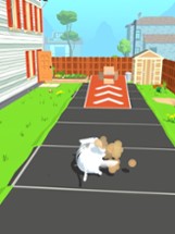 Cat Toss League Image