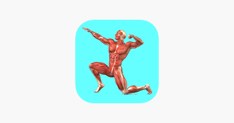 Muscular System Quizzes Game Cover