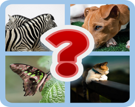 My Guess the Pic: Animal Trivia Image