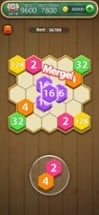 Hexa Number Puzzle Image