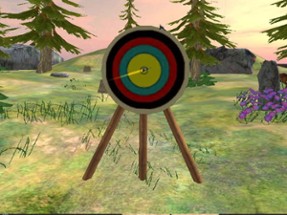 Archery Master Adventure - Bow Man 2017 Image