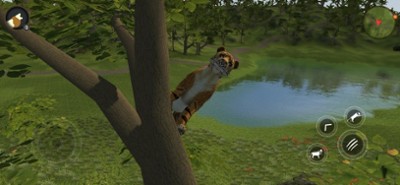 Asian Tiger Survival Simulator Image