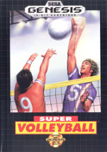 Super Volleyball Image