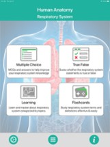 Anatomy : Respiratory System Image
