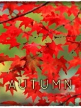 Autumn Image