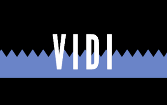 VIDI - Gain Jam release Image