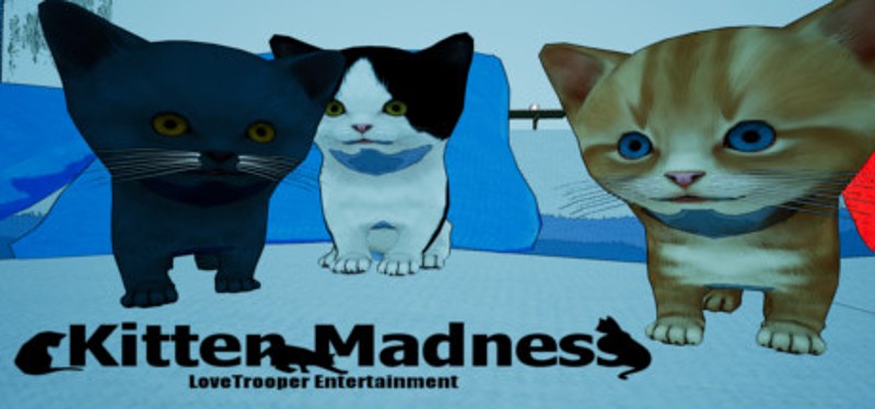 Kitten Madness Game Cover