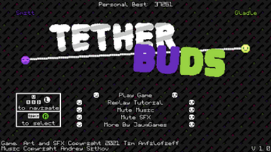 Tether Buds Image