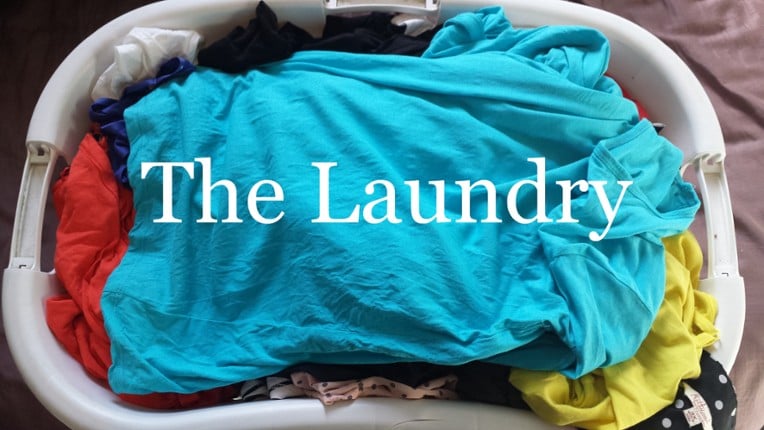 The Laundry Game Cover