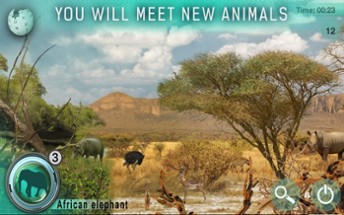 Hidden Object Safari - Animals Image