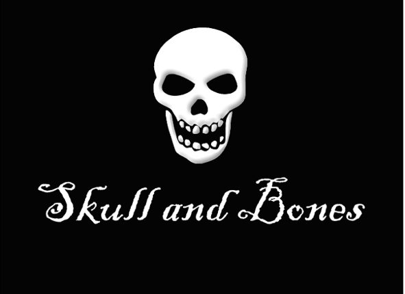 Skull and Bones ALPHA2 Game Cover