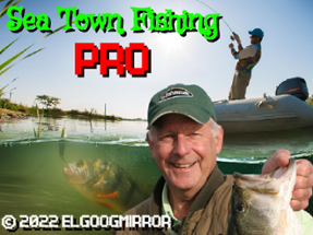 Sea Town Fishing Pro Image