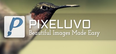 Pixeluvo Image