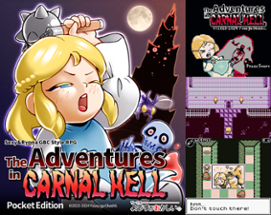 The Adventures in CARNAL HELL Pocket Edition Image