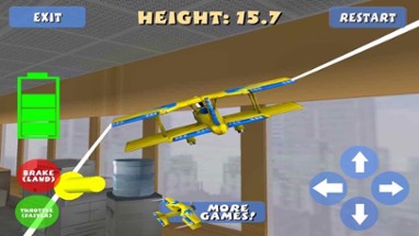 Flight Simulator: RC Plane 3D Image