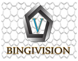 BINGIVISION: Virtual Expo Image