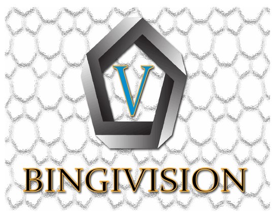 BINGIVISION: Virtual Expo Game Cover