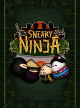 Sneaky Ninja Image