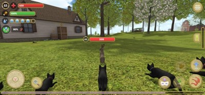 Cat Simulator 2020 Image