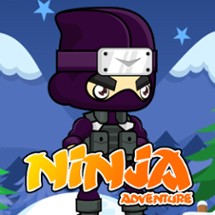 Ninja Adventure Image