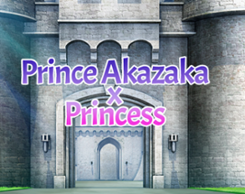 Animeahikoaprinceaverse A1-Aver.a17082024a: Prince Akazaka & Princess A Image