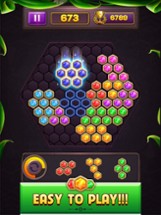 Hexa Block Puzzle Star Gem Image