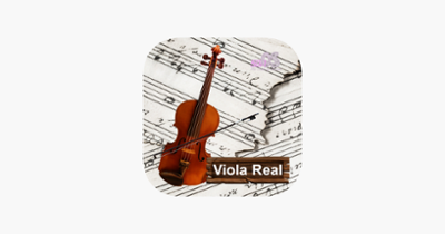 Viola Real Image
