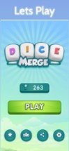 Dice Merge:Puzzle Game Image