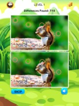 Find and Spot The Differences Photo Zoo Animals Image