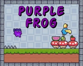 Purple Frog Image