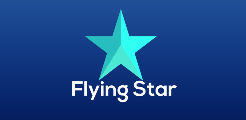Flying Star Game Cover