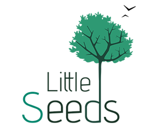 Little Seeds Game Cover