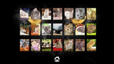 Kitty Cat: Jigsaw Puzzles Image