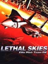 Lethal Skies Elite Pilot: Team SW Image