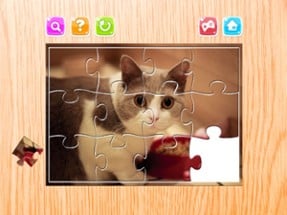 Cat Jigsaw Puzzles Game Animals for Adults Image