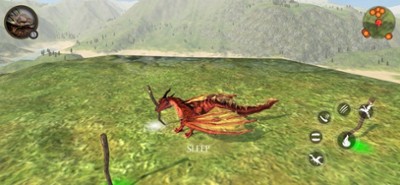 Flying Dragon's Life Simulator Image